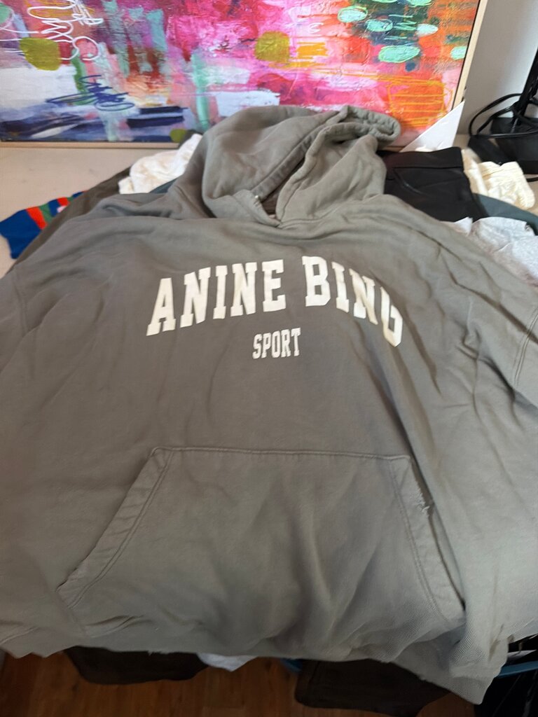 Anine Bing Sport Hoodie