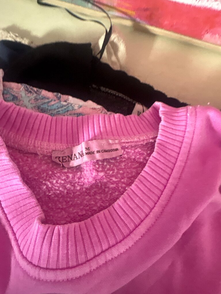 Pink Sweatshirt
