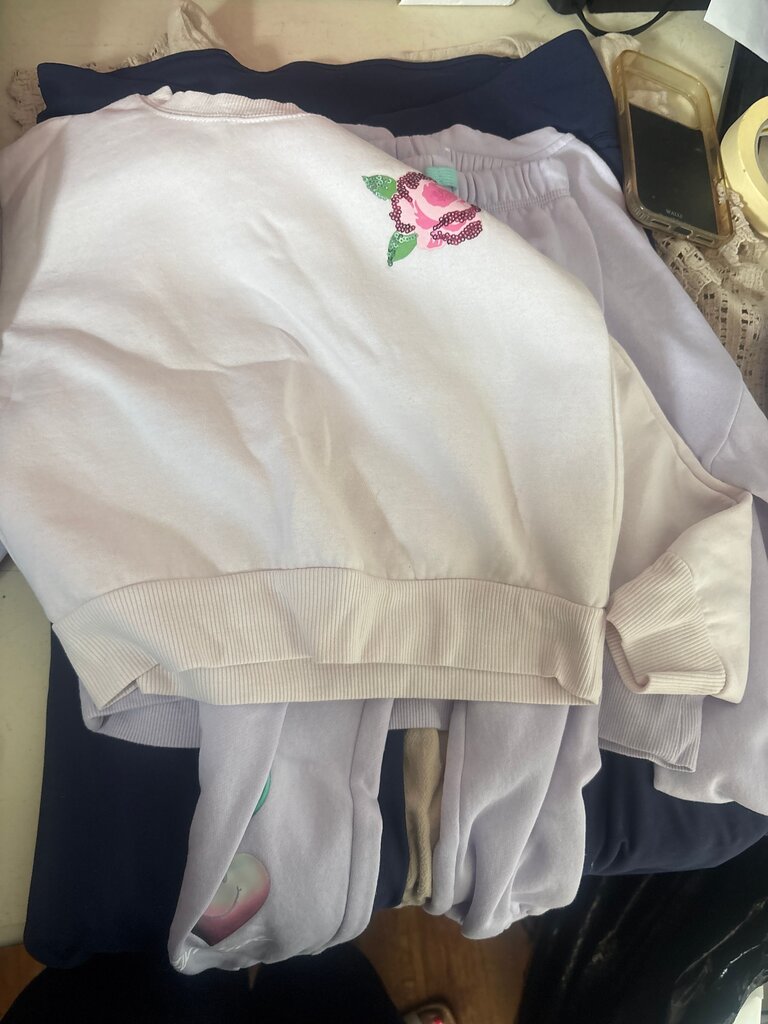 Embroidered Sweatshirt with Floral Design