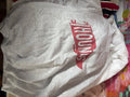 Gray Hoodie with Red Logo