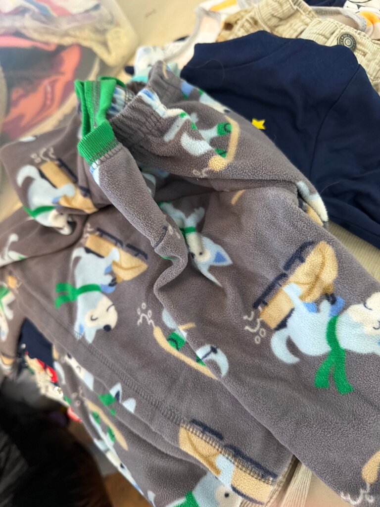 Boys' Fleece Pajamas with Animal Print