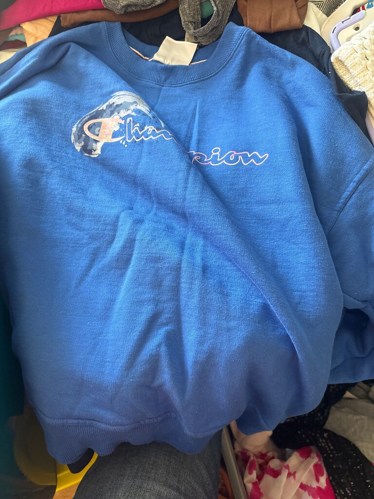 Champion Blue Sweatshirt
