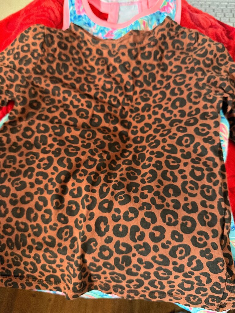 H&M Leopard Print Top