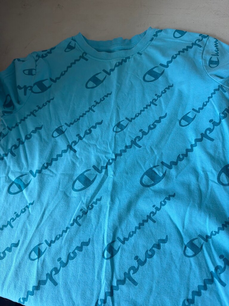 Champion Logo T-Shirt