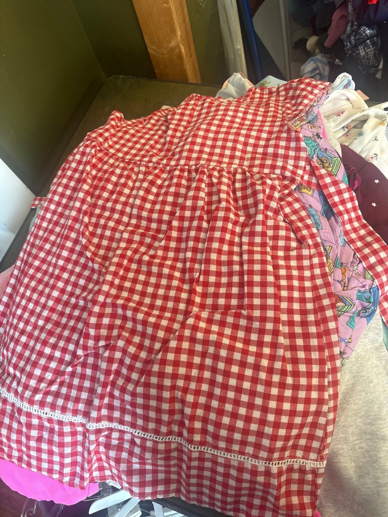 Red Gingham Check Dress