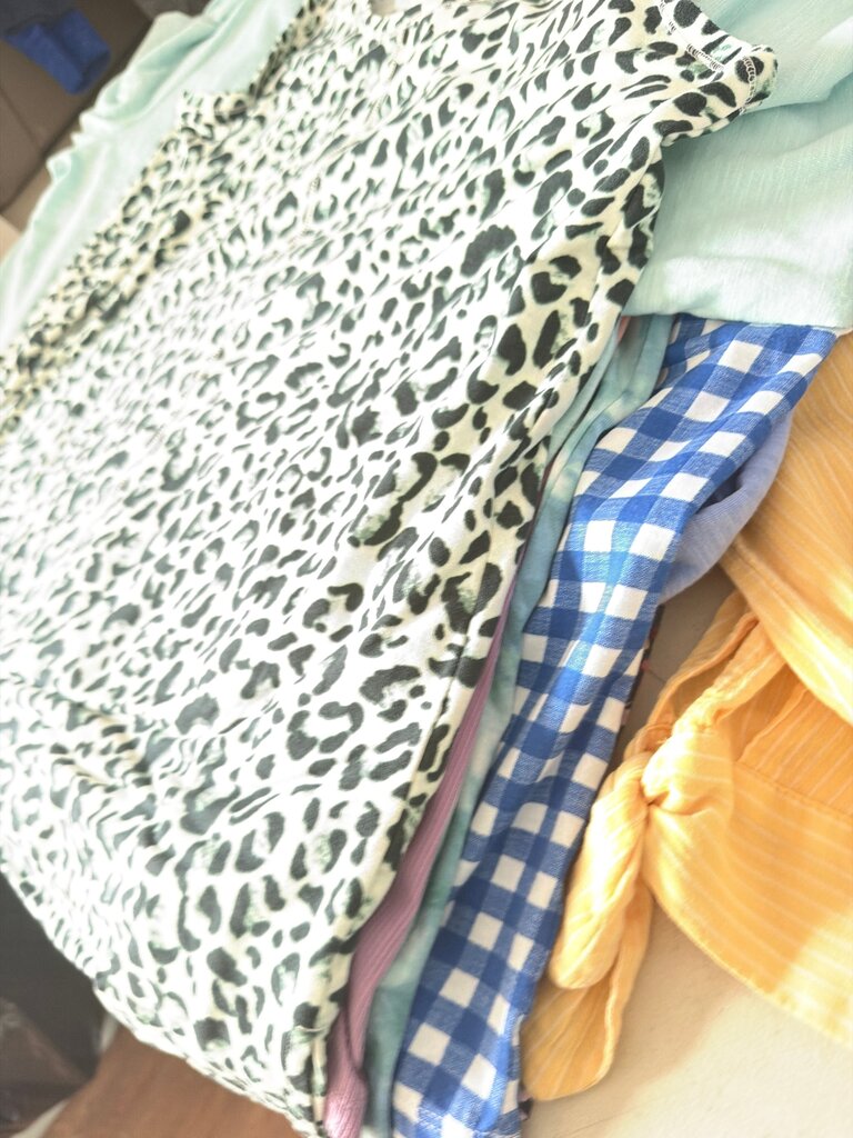 Leopard Print and Solid Color Assorted Women's Tops