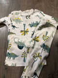 Dinosaur Print Toddler Pajama Set