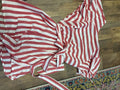 Striped Red and White Dress