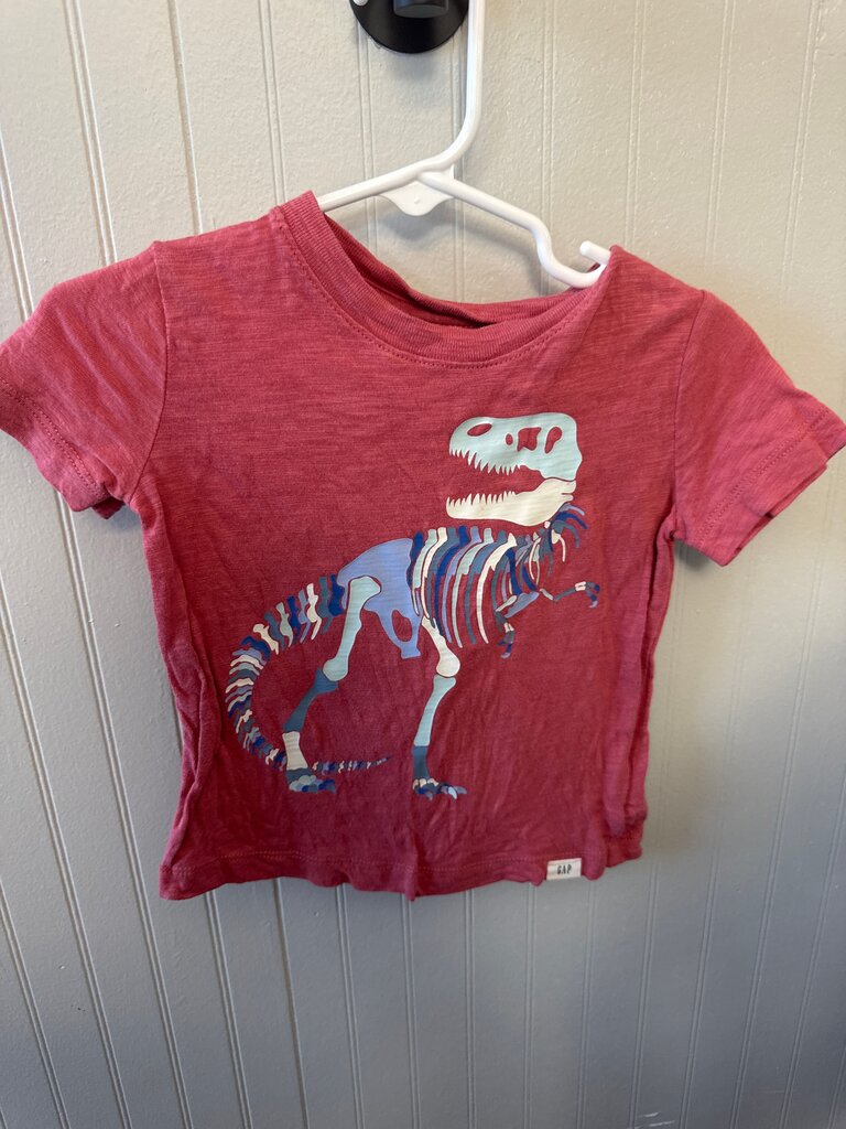 Boys Graphic T-Shirt with Dinosaur Print