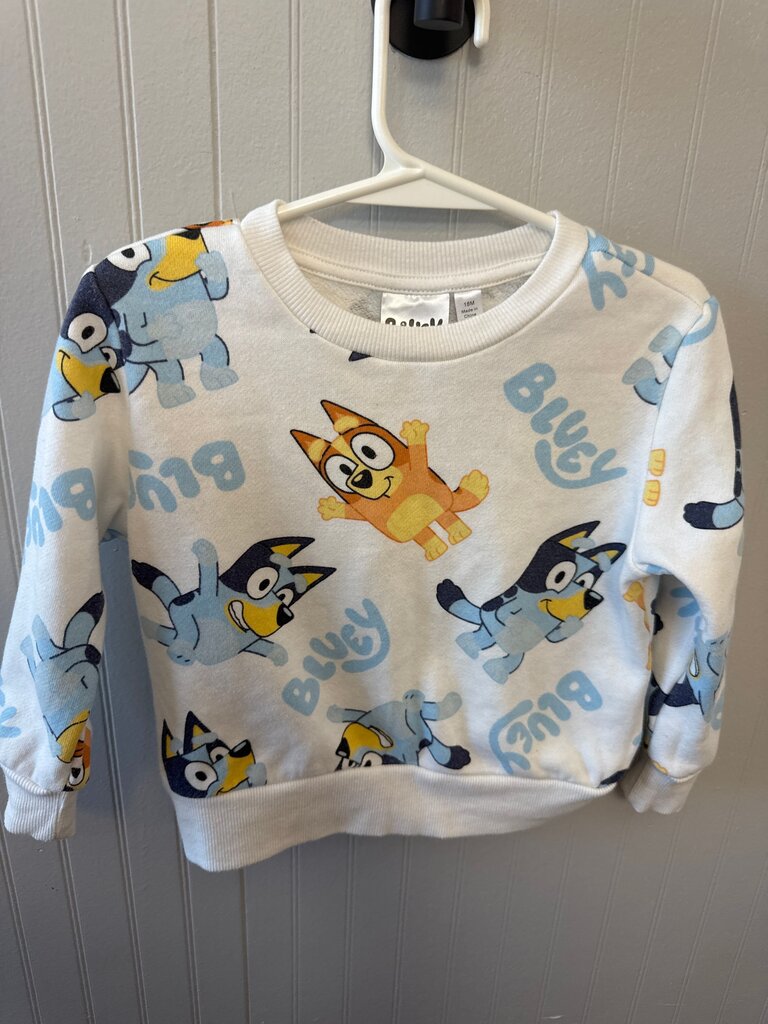 Bluey Themed Kids Sweater
