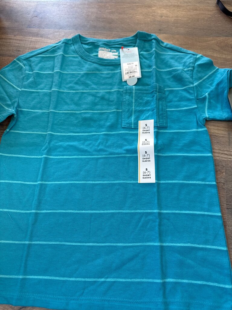Teal Striped Short Sleeve T-Shirt