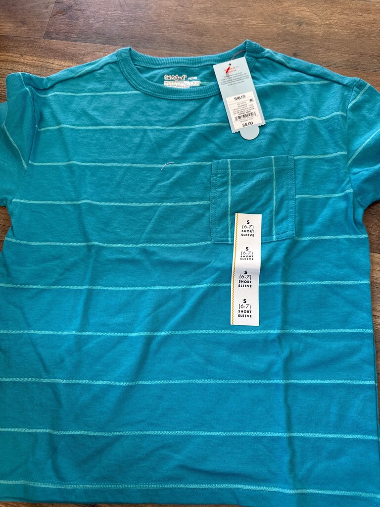 Boys' Short Sleeve Teal Striped T-Shirt